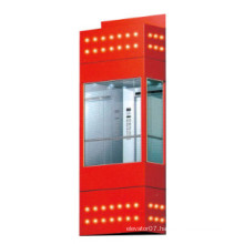 Fjzy Panoramic Cheap Elevator-Ascensor2042